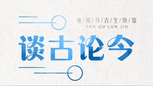 精品課程