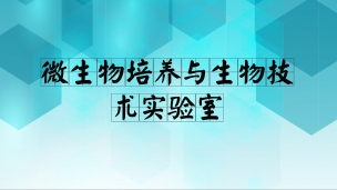 技術(shù)方案