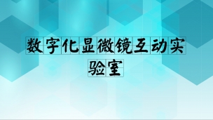 經(jīng)典案例