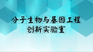相關(guān)設(shè)備